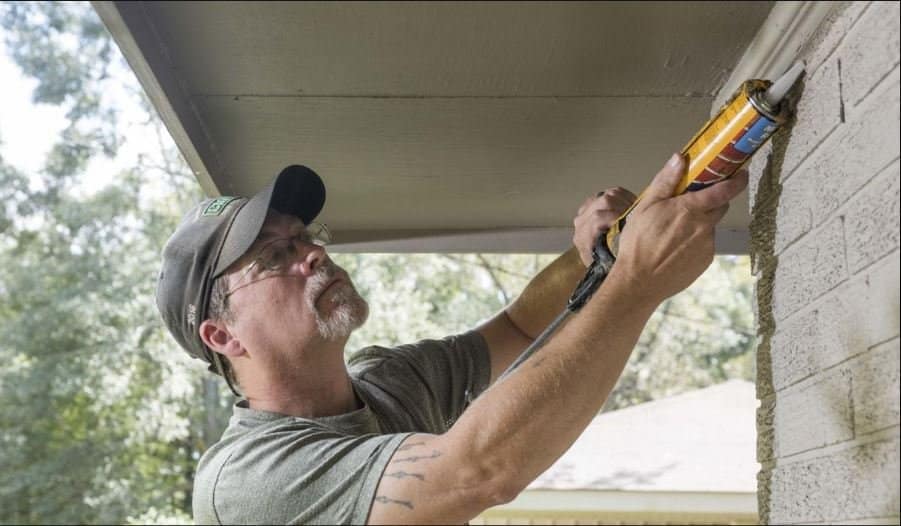 Bat removal repair photo