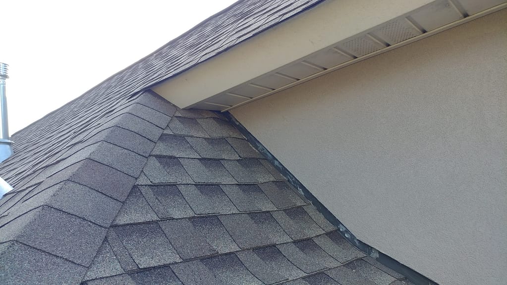 roof with bat entry point