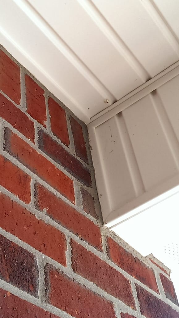 bat sealing photo