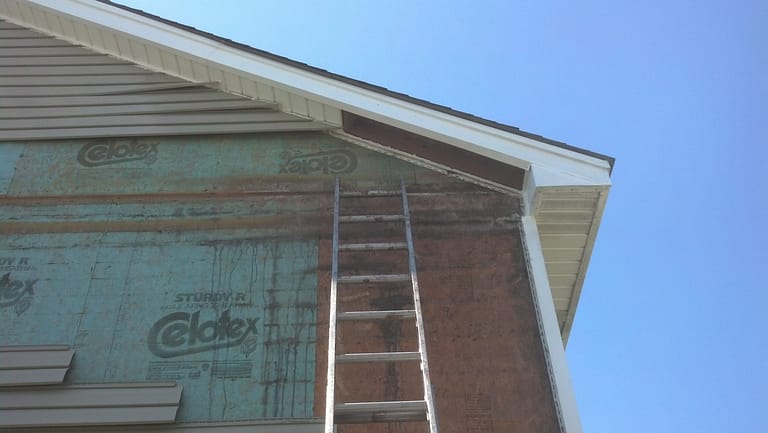 Is it OK to leave bats in the attic?